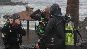 Image result for Canary Divers
