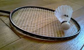 Image result for Preston badminton club