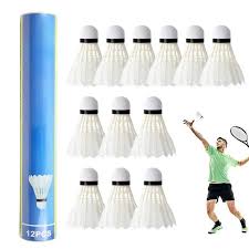 Image result for Shuttlecocks Badminton Club