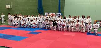 Image result for Dumfries Wado Ryu  Karate club
