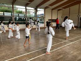 Image result for HEIWA SHOTOKAN KARATE CLUB