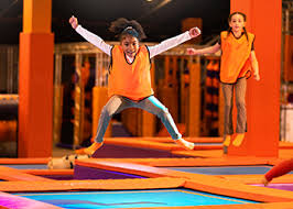 Image result for West Wight Trampoline Club
