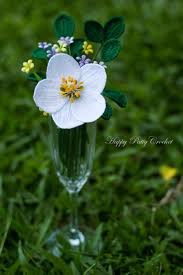 Attēlu rezultāti vaicājumam “Helleborus niger flower”