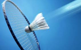 Image result for Greenmeadow Badminton Club