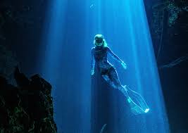 Image result for Blue Water Diving