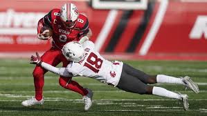 Image result for Ut Cougars