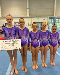 Image result for Cardiff Olympic Gymnastics Club