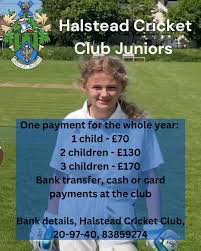 Image result for Halstead Colts Cricket Club