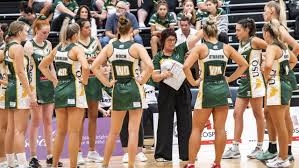 Image result for Ipswich Ladies Netball Club