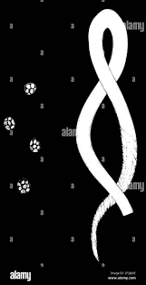 Attēlu rezultāti vaicājumam “Trichia alpina spores”