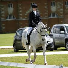 Image result for Cambridge University Riding Club