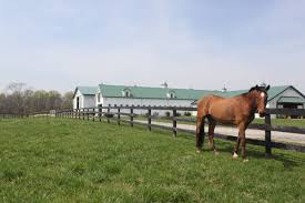 Image result for Lower Farm Stables