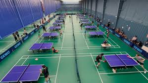 Image result for Tara Sports Badminton Club