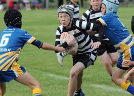 Image result for Heworth Amateur Rugby League Club