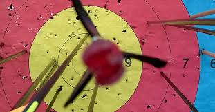 Image result for Blue Arrows Archery Club