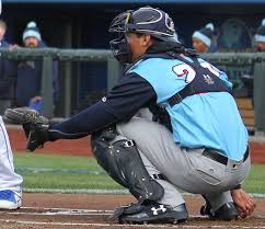 Image result for Thieves - The University Of Nottingham Baseball Club