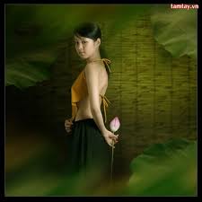 Hình ảnh