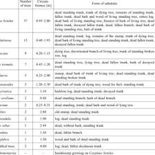 Attēlu rezultāti vaicājumam “Phleogena faginea stalked”