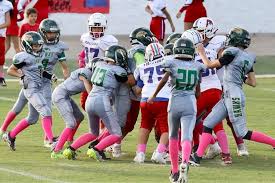 Image result for Hedingham Hawks Youth Football Club