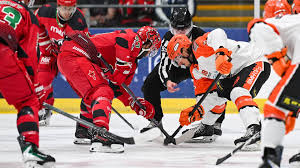 Image result for Cardiff Devils