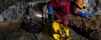 Image result for Technical Speleological Group