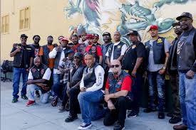 Image result for Bay Dragons CC