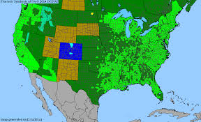 Attēlu rezultāti vaicājumam “Juncus effusus fruit”