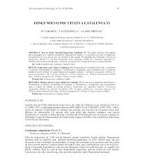 Attēlu rezultāti vaicājumam “Lactarius lygniotus”