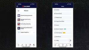 Image result for Calibre Performance Coaching