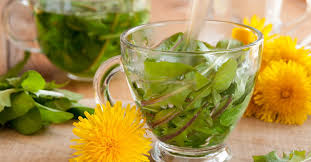 Image result for diente de leon