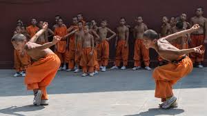 Image result for Shaolin Ancestors kung Fu School