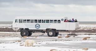 Image result for tundra buggy