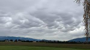 Attēlu rezultāti vaicājumam “Mammatus”