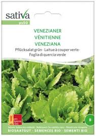 Image result for Pflücksalat