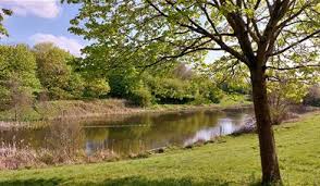 Image result for Haden Hill Badminton Club