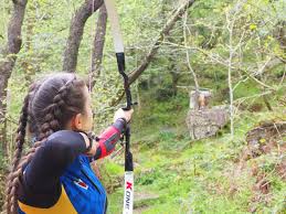 Image result for Row Brow Field Archery