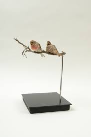 Attēlu rezultāti vaicājumam “Carduelis flammea female”