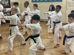 Image result for Everitt Karate Academy
