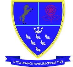 Image result for LITTLE GADDESDEN CRICKET CLUB