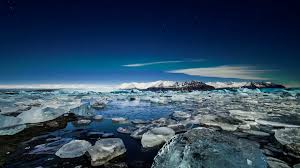 Image result for Ildblomkarse