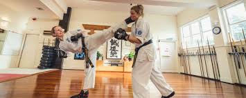 Image result for Aylesbury Vale Seido Karate