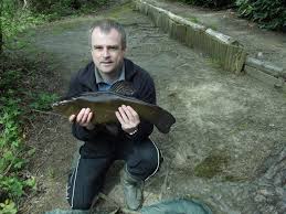 Image result for CALPAC Angling Club