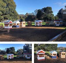 Image result for Belgrave Sc