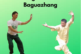 Image result for Jade Dragon School of Kung Fu and Qigong (Reading)