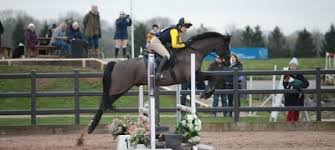 Image result for Abinger Forest Riding Club