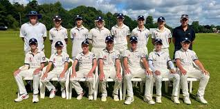Image result for Shenley Village Cricket Club