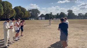 Image result for Sawbridgeworth Cricket Club
