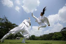 Image result for Dujon Tae Kwon Do