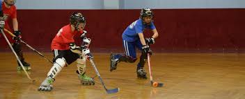 Image result for Glasgow Vipers Roller Hockey Club