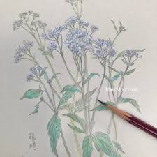 「望月麻里（マリ）」の画像検索結果